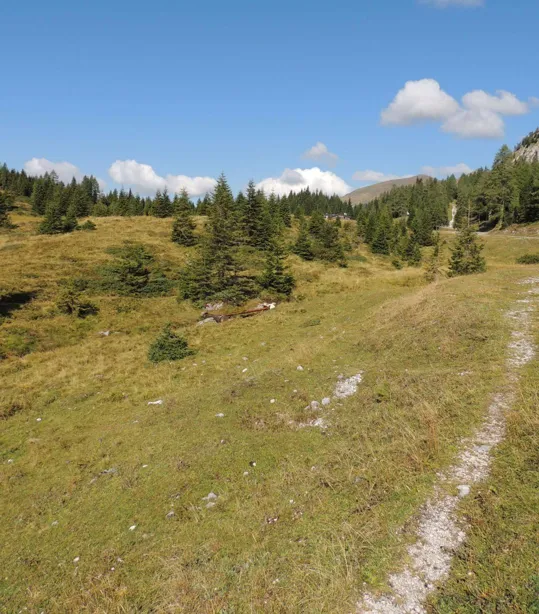 verso il Rifugio Sorgenti del Piave