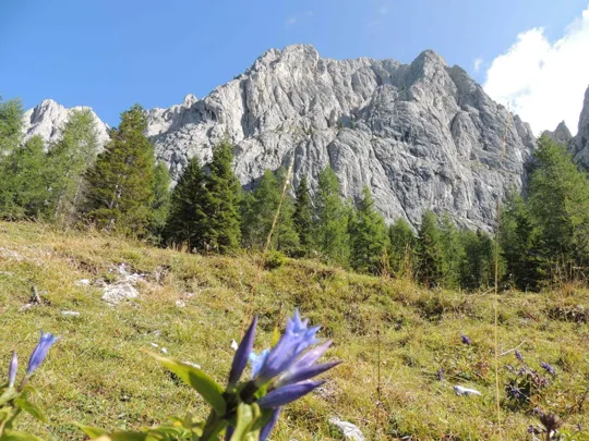 Rifugio Sorgenti del Piave