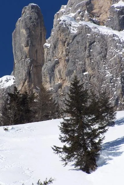 Rifugio Scarpa - Campanile San Marco