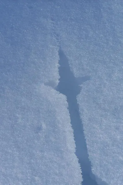 Rifugio Scarpa - che strana impronta....