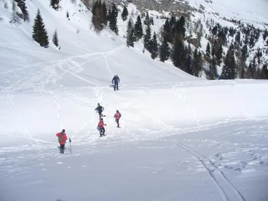 Rifugio Scarpa - il tetto della Stalla Lòsch