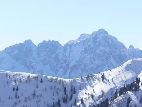 Rifugio Scarpa - Panorama