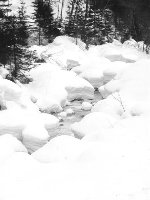 Rifugio Scarpa - torrente Domadore
