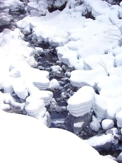 Rifugio Scarpa - torrente Domadore
