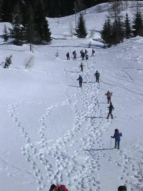 Ciaspolata al Rifugio Scarpa