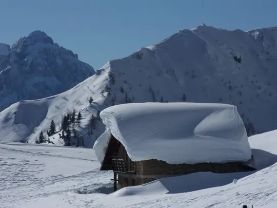 Rifugio Scarpa - malga Lòsch