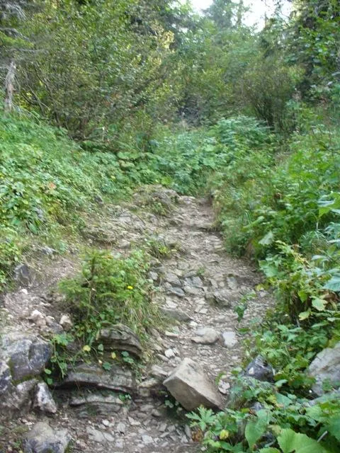 - Passo Monte Croce di Comelico - Il percorso -