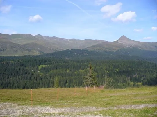 - Passo Monte Croce Comelico -