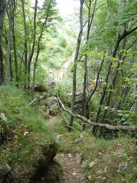 Spitzknotto Spizegonotto: ecco l'ultimo tratto