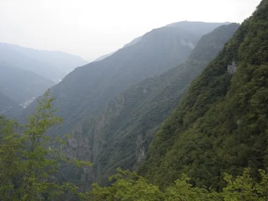 Spitzknotto Spizegonotto