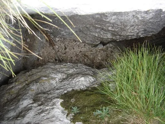 Spitzknotto Spizegonotto, anfratti