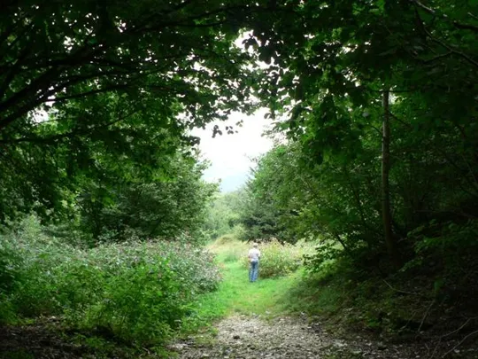 Spitzknotto Spizegonotto: Sembra di entrare in un altro mondo