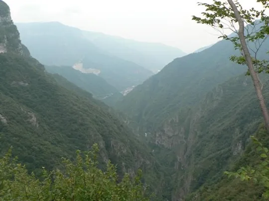 Spitzknotto Spizegonotto, particolari