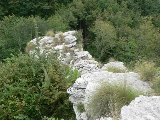 Spitzknotto Spizegonotto