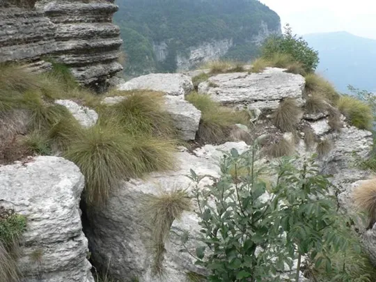Spitzknotto Spizegonotto: Sembra di camminare su colonne...