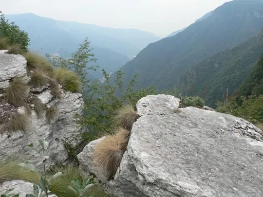 Spitzknotto Spizegonotto: Pavimenti in pietra....