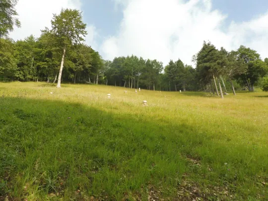 Monte Corno Battisti