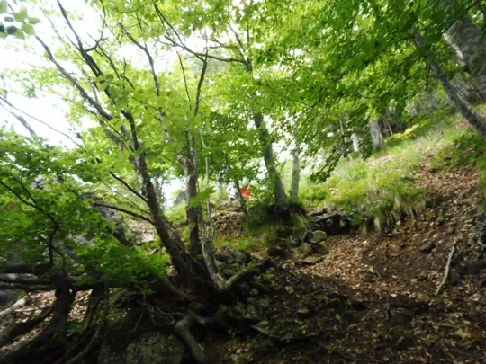 Monte Corno Battisti