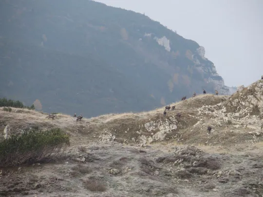 Monte Pasubio - Val di Piazza