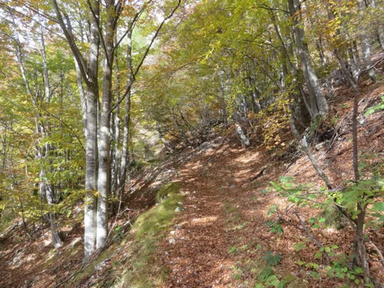 Monte Pasubio - Val di Piazza