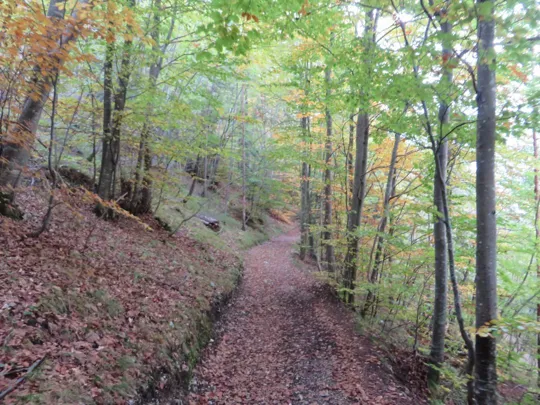 Monte Pasubio - Val di Piazza
