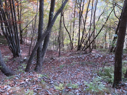 Monte Pasubio - Val di Piazza