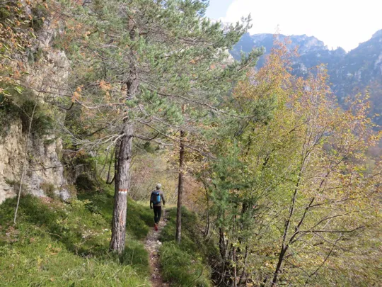 Monte Pasubio - Val di Piazza