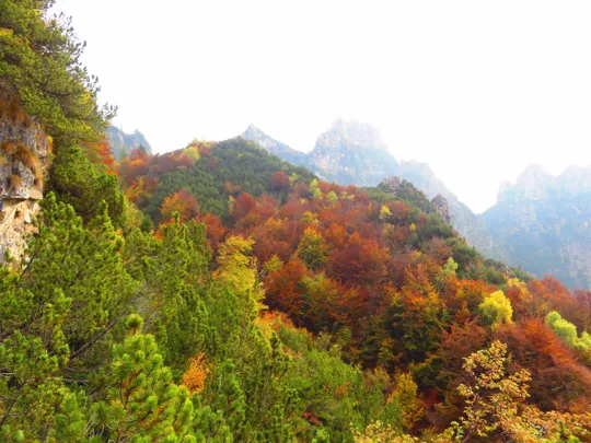 Monte Pasubio - Val di Piazza