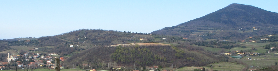 Colli Euganei e Berici